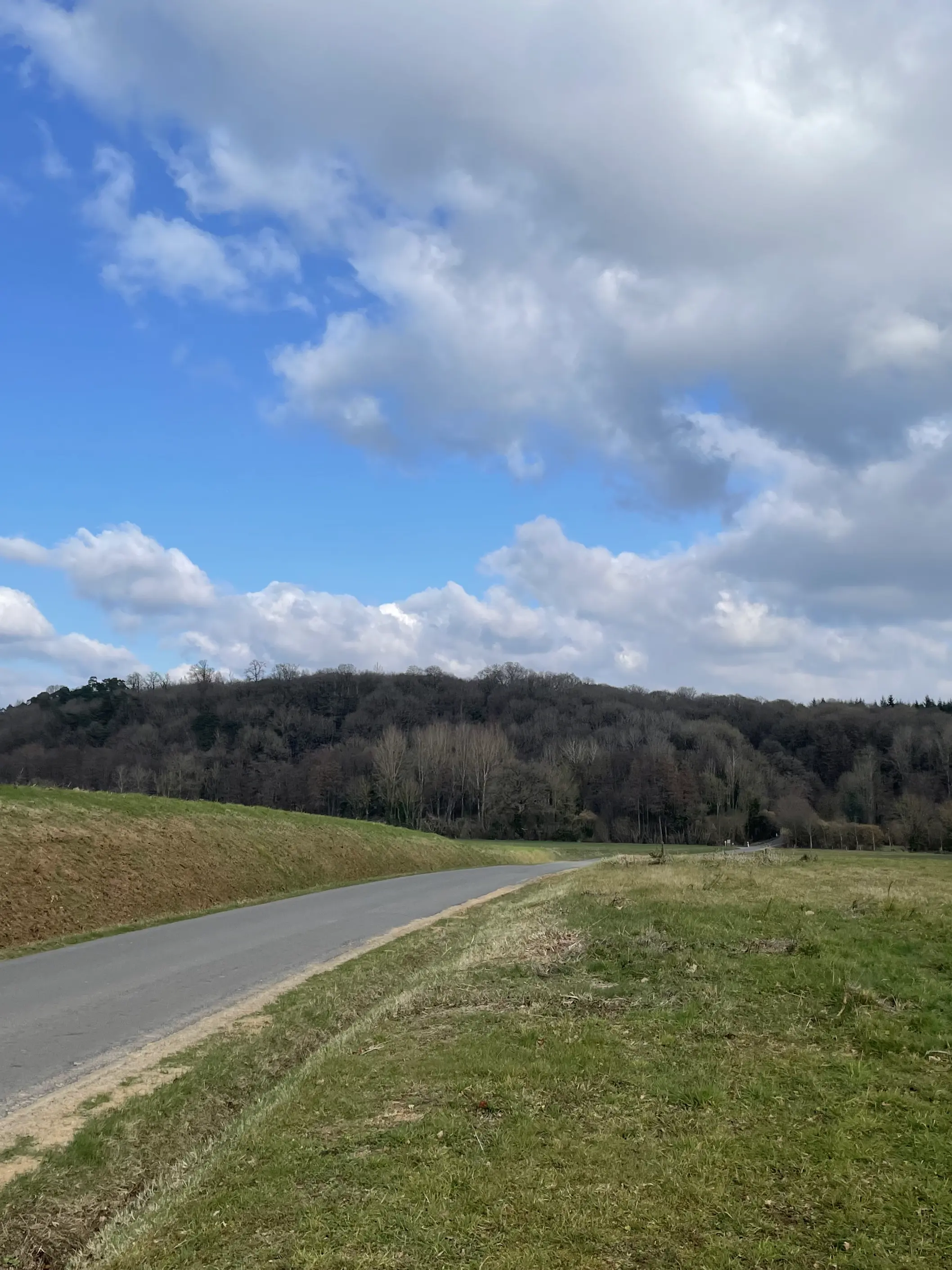 Route aux abords de La-Chapelle-Montligeon
